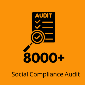 8000+